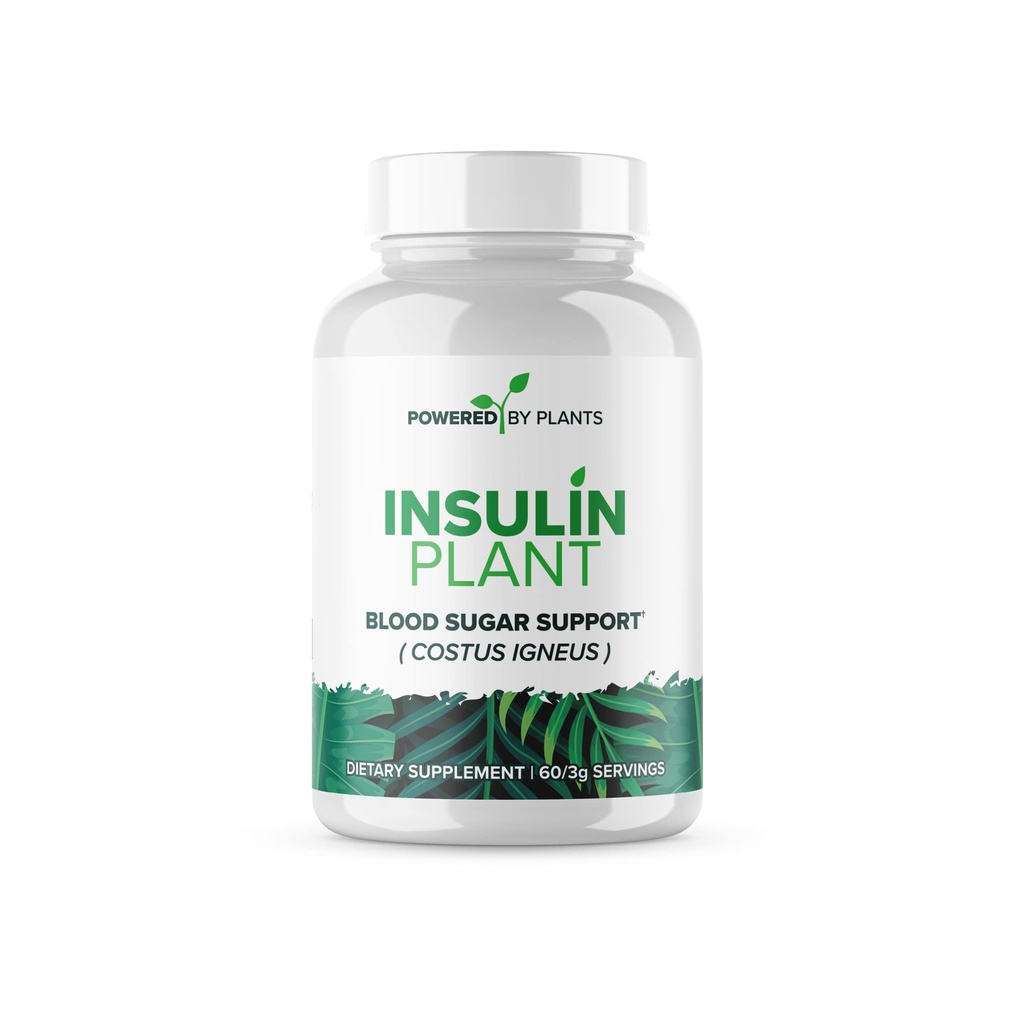 胰岛素工厂 Capsules - 3000mg Costus Igneus 叶粉,无Binders, Fillers & Gluten - Vegan, 由动力X厂为男女提供的非转基因补充物,240 Capsules