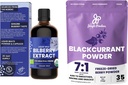 Junle Powers 野生Bilberry 眼睛的提取 USDA 有机 3.4oz 黑曲兰 粉盒 冻结 干燥的黑曲兰 平滑的提取