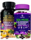 海蚊鱼笼盖 + Gummys Bundle, 60 Irish Sea Moss Gummys + 120 Ocean Wild Seas Mouss Capsules with Vitamins and Minerals