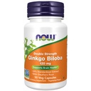 现在食品补充品,Ginkgo Biloba 120毫克,双强,非GMO项目验证,50Veg卡普尔