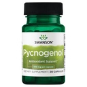 Swanson Pycnogenol 100 毫克 30 卡普尔