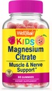 (原始内容存档于2018-09-26) (英语). Wellyeah Magnesium Citrate Gummys for Kids - Chewwable Relief Relief Relief for Children - 自然平静,Mood Support, Non-GMO, Gluten Free - 天然源头火焰 - 60 Gummys