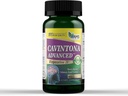 美国医学与科学卡文托纳高级补编 — Vinpocetine 20mg for memory, recall & Brain Health — 支持认知功能,焦点,精神清晰和血流 — 60 Capsules