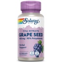 SOLARAY 葡萄种子提取 100 mg + Bioflavonoid 复合体 → 健康心血管和血船支持 → 60 Veg Caps