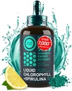 Liquid Chlorophyll Drops with Spirulina for Water - Full Strength Energy, Wellness, Immune Support Supplement - 50mg Chlorophyll Liquid, 12.5mg Spirulina - Lemon Flavor Detox Drink - 2oz, 118 Servings