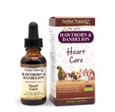 Amber NaturalZ Hawthorn & Dandelion Herbal 对狗、猫、鸟、兔子和几内亚猪的补充 支持心脏健康、循环和流体平衡 天然心血管护理