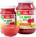 野生爱尔兰海 Moss Gel 在美国制造 富含维生素和矿物质 海 Moss Gel Raw 营养补充 | Raspberry (16 oz)