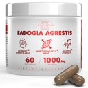Fadogia Agrestis 1000mg Per Aservice 补编 - 提高能量、运动性能和肌肉质量的强力抽取 -- -- 在美国制造的补编(60 Capsules)