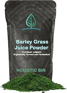 全方位有机大麦汁粉 - 纯度100% USDA有机 - 配以35 Probiotic Strains发酵 - 营养剂 - 深色绿色超食品用于平滑 - 支持文摘 - 30天供应(50g)