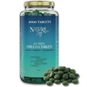 NaturalZing - 100%纯有机螺旋藻片 - ===- =- =- =- =- 翻译: 翻译: