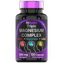 三重镁复合物补充500mg:甘化镁, 英特立特, & Oxide - 120 Capsules (4个月供应!) | 1 Capsule Service 提供125%的日值 | 非GMO,美国制造!