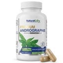 Natural Cure Labs Premium Andrographis Paniculata 提取1,200mg 与100mg Andrographolides Vegan Capsules 用于免疫和消化支持,非GMO,Gluten Free,草药饮食补充