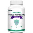 Orgabay Liposomal Quercetin Phytosome 1600 mg, Bromelain 200mg, Zinc 30mg, 维生素C Turmeric 40 mg, 最高吸收, Quercetin 复合体, 60软胶