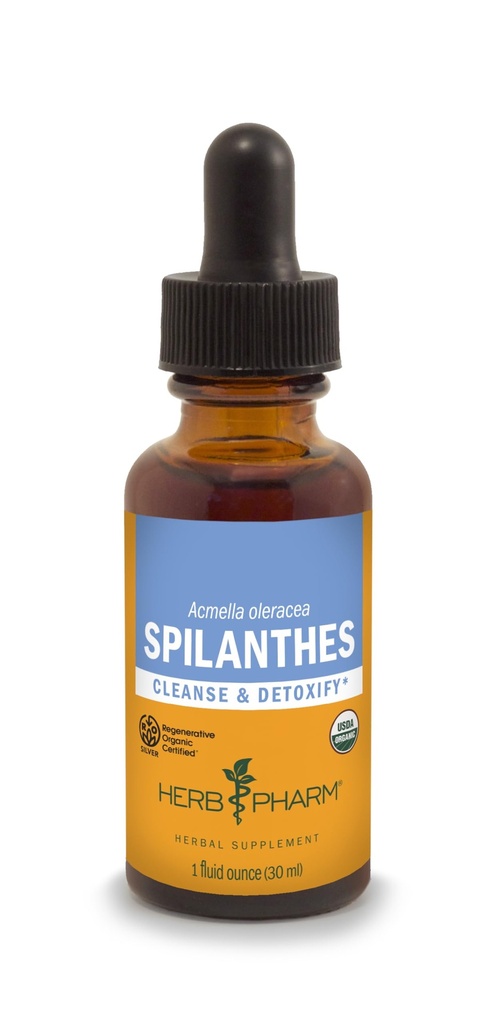 草药经认证的用于清洁和戒毒的有机Spilanthes液体提取剂 -- -- 1 Ounce