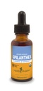 草药经认证的用于清洁和戒毒的有机Spilanthes液体提取剂 -- -- 1 Ounce