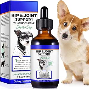 与Chondroitin & Glucosamine HCl 的狗联合援助和救济补充 – 缓解老年狗、活跃成人和幼犬的联痛和减少炎症