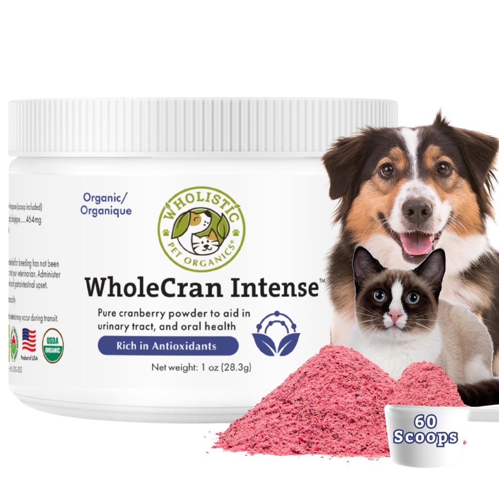 Wholistic Pet Organics WholeCran Intense:有机Cranberry Powder for Dogs Urinary Tract 支持肾上腺素支持狗 UTI治疗维生素C和抗氧化剂狗失禁产品