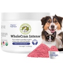 Wholistic Pet Organics WholeCran Intense:有机Cranberry Powder for Dogs Urinary Tract 支持肾上腺素支持狗 UTI治疗维生素C和抗氧化剂狗失禁产品
