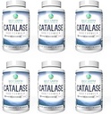 Best Earth Naturals Six pack of Catalasase 10,000 配有 Saw Palmetto, Biotin, Fo-Ti, PABA - 强发的发型补充剂 - 360 Capsules (180天供应量)