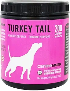 蘑菇母犬有机蘑菇 Powder Turkey Tail Immune 支持和全方位防疫补品,200格拉姆(包装 May Vary)