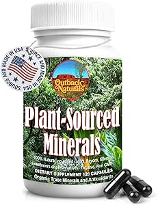 Fulvic Humic Mineral Blend of Plant-Sourced Trace Minerals, Electrolytes, Gut Health, 认知和免疫支持,纯生命力增强公式 - 120卡普尔