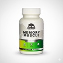 记忆肌肉 — 具有维生素B12, Bacopa Monnieri & DMAE 功能的高级诺诺氏大脑补充剂 聚焦,记忆,精神清晰和清洁能源 — Premium认知支持公式