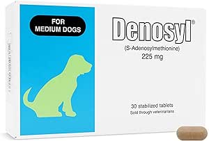 中犬的Nutramax Denosyl肝脏和脑健康补充剂——用S-Adenosylmethionine(SAMe),30片