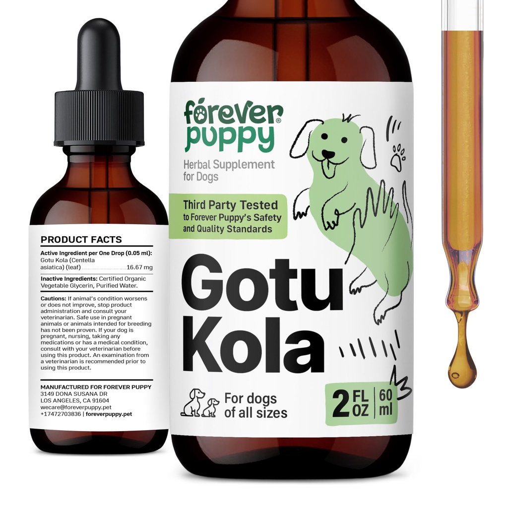 永远小狗 Gotu Kola Drops for Dogs - Centella Asitica & Gotu Kola 脑健康支持提取 - 液态脑补充物 for All Breeds and Sizes - 2 oz