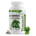 纯莫林加 Oleifera 绿色超级食品 C 含维生素 C , Omega 3 和 氨基酸 - 靴子能量, 摩德, 记忆, 免疫支持 - 由有机莫林加, 非 GMO 制造 - 60 Capsules (1瓶)