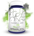 Notrophics Depot Magtein Magtein Magnetium L-Threonate Capsules | 90 Counter | 矿物补充 | 天然| 支持 Mitochondrial 函数 | Boosts 能量和认知函数