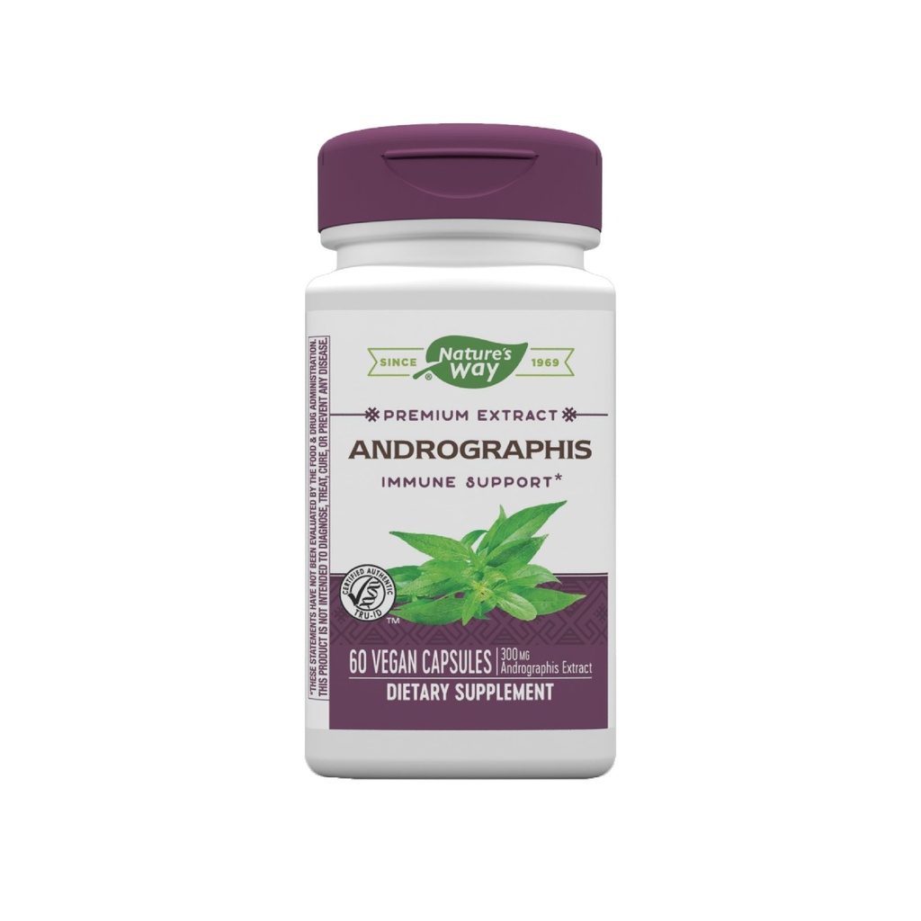 自然之道 提取Andrographis, 免疫支持*, 300 mg Andrographis 提取器, 60 capsules