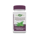 自然之道 提取Andrographis, 免疫支持*, 300 mg Andrographis 提取器, 60 capsules