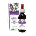 Naturalma Alfalfa 或 Lucerne (Medicago Sativa) 配有无酒精花纹的草药 - 富含天然氯化物 - 4 fl oz 液体提取液在滴 - 草药补充剂 - Vegan