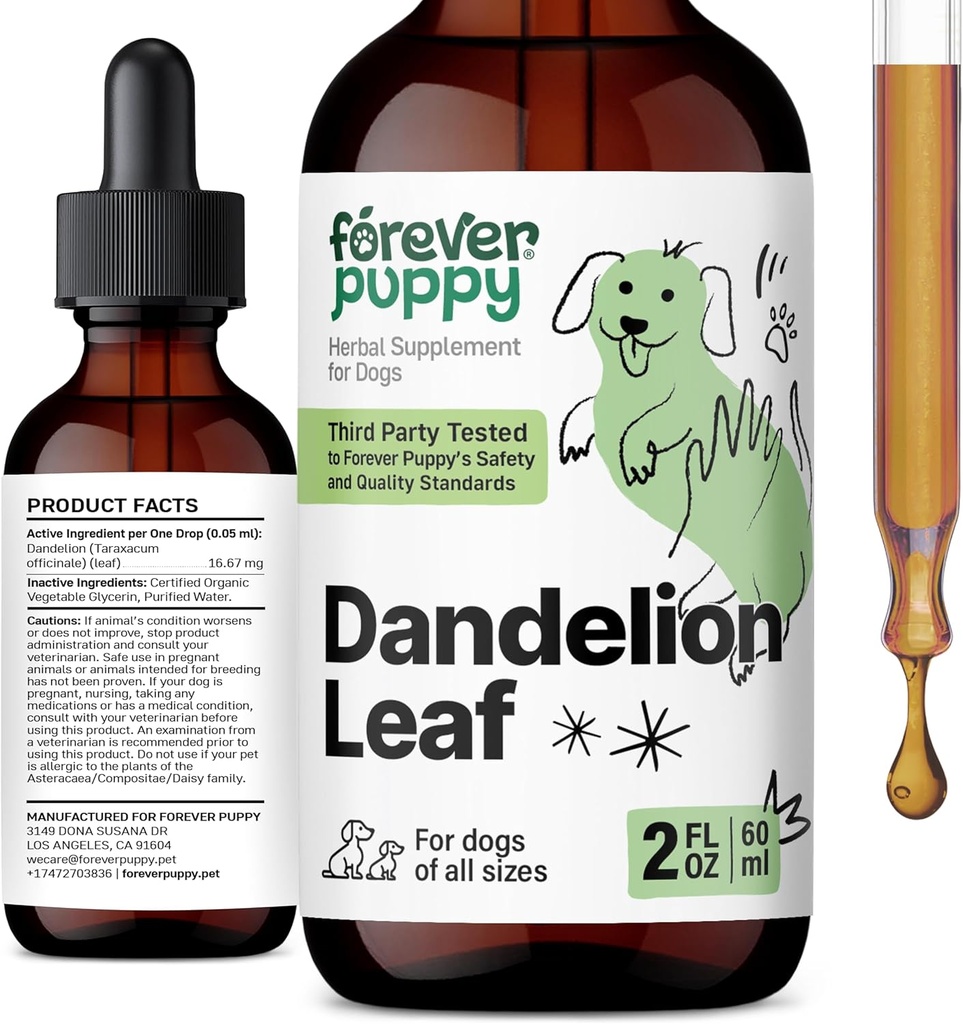 (原始内容存档于2018-09-29). Forever Pupy Dandelion Leaf Drops for Dogs - 大,中,小狗的肾脏健康液体补充剂 - 肾脏清洁除毒剂 Drops w/Dandelion Leaves Tincture - 2 oz