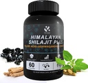 Shilajit喜马拉雅山60%富尔维奇酸,120 Vegan Capsules 纯天然的Shilajit供应,Ashwagandha, Ginseng 提取-男子能源支持中的高轨矿物