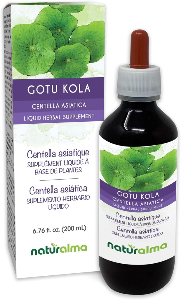 Naturalma Gotu kola (Centella asiatica) 草药无酒精小叮当 - 6.76 fl oz 滴液中的液体提取 - 草药补充 - Vegan
