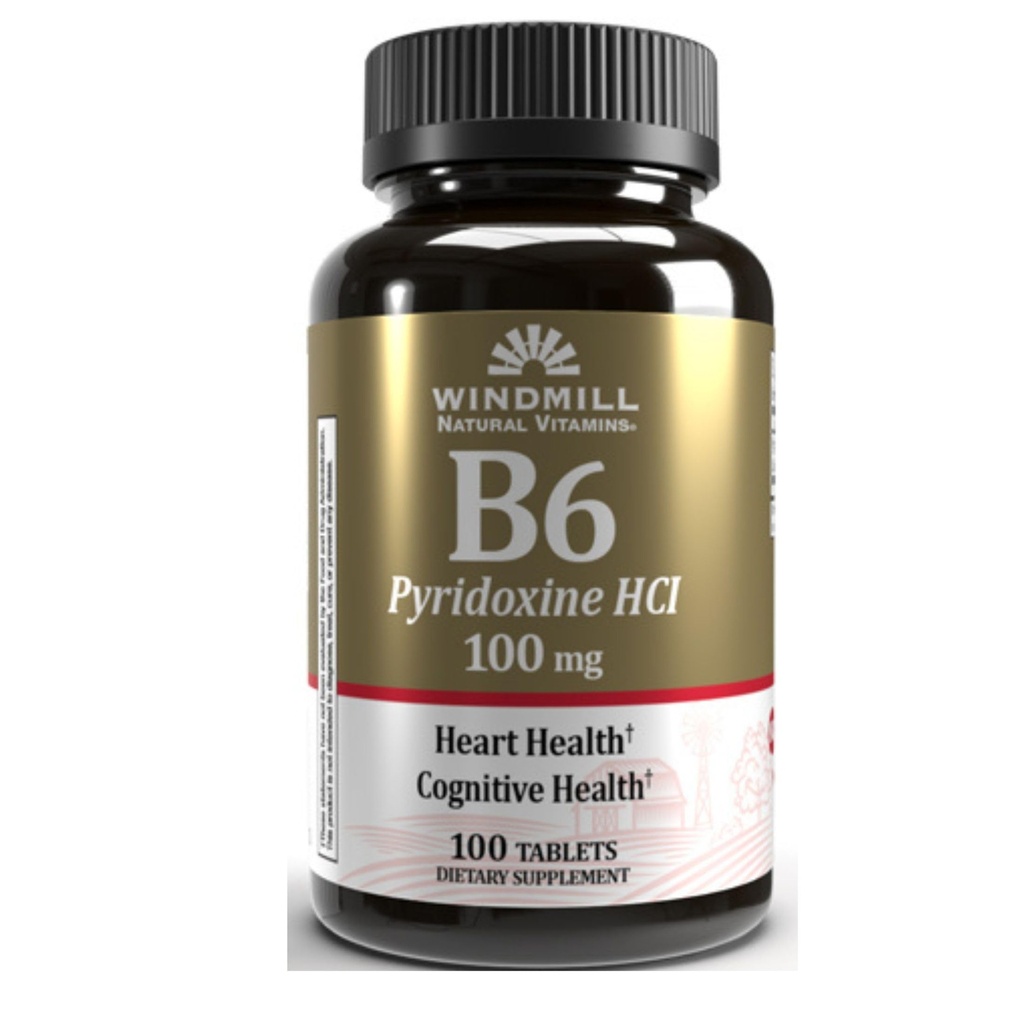 VIT B-6 TABS 100MG WMIL 100