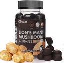 狮子马恩蘑菇 蘑菇 Gummys for Nootropic Brain 补充, 免疫支持, 压力救济蘑菇 补充 Berry Flavor 60 Count