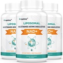 Orgabay Liposomal NAD+ 阿尔加巴伊·利波索马尔 补充500毫克、高吸收、带TMG 250毫克的诱导NAD+、实际NAD+更有效率的Nicotinamide Riboside、支持细胞能量、健康衰老 180软胶