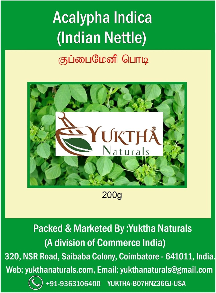Harita Manjari Kuppaimeni/Acalypha Indica 粉末/印度内特尔-200克