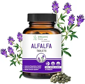 Alfalfa Mediago Sativa牌匾,60块牌匾,改善呼吸卫生和肠道运动、靴子免疫系统、组织和自然QQQ超级食品补充QQ Vegan