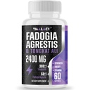 2400mg Fadogia Agrestis Tongkat Ali 补编 - Fadogia Agrestis 1400mg & Tongkat Ali 1000mg Ultra Blend,最大强度,肌肉质量和运动性能,60软胶