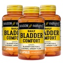 Mason Natural Daily Bladder Comfort, 30, Day Supplement, 配有钙, 南瓜种子, 以及 Soy Germ 支持正常的Bladder 函数, 60 Capsules (Pack of 3)