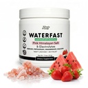 WATERFAST 水果 Keto 电解粉用于快活和水解- 草莓 西瓜 Flavor | Pink 喜马拉雅盐(钠),钾,镁,钙 无糖