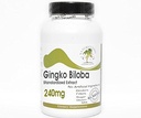 Ginkgo Biloba 标准化摘录 240 mg 24% Glycosides ~ 200 Capsules - 无添加物 ~ 自然补充