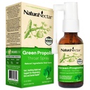 NaturaNectar - Green Propolis Throat Spray - 与巴西蜜蜂 Propolis 独树一帜的松喉护理救助 - 来自可持续养蜂(1-Pack,30mL)的自然和非酒精喉管护理公式