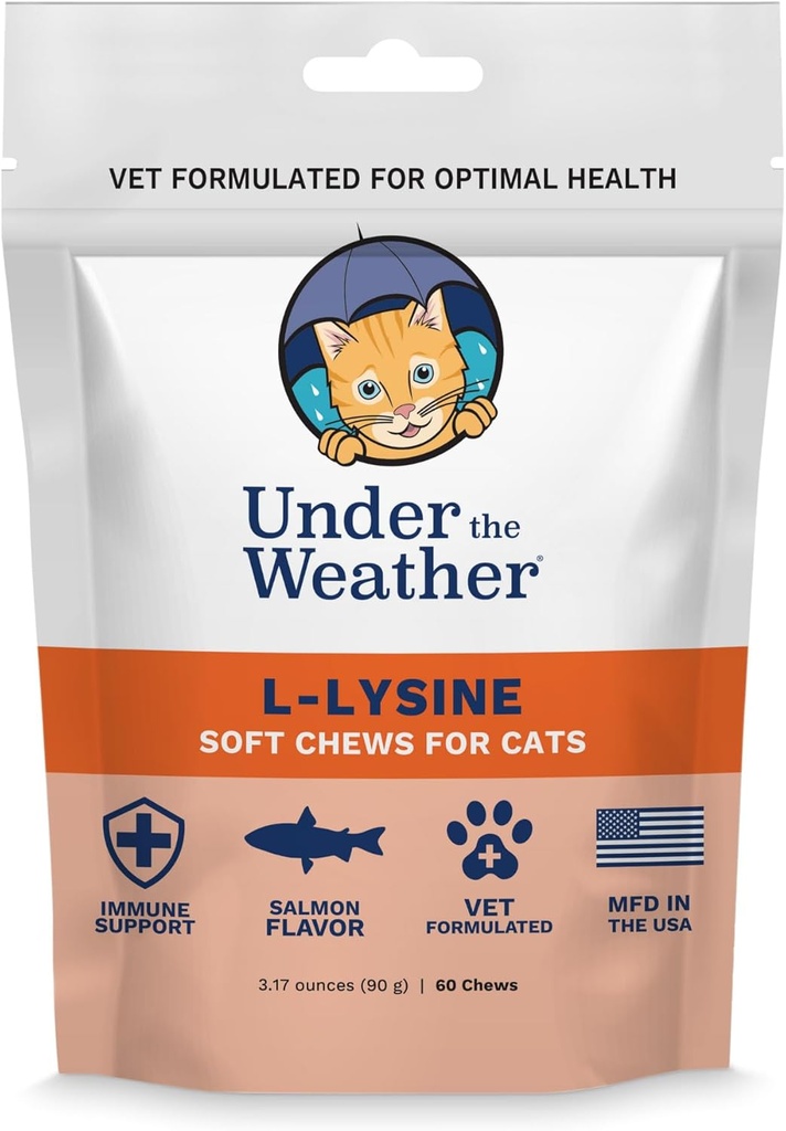 在"天气宠物日报"的猫L-Lysine 下,