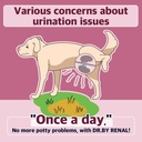 By Renal Kidney博士 Bladder Urethra博士 狗和小狗的营养补充 - 甜薯条炸狗补充 狗UTI, 30 Counter 个人包装 (Pack of 1)