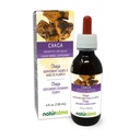 Naturalma Chaga (Inonotus obliquus) 芬古斯或蘑菇 无酒精丁香 - 4 fl oz 液体滴水提取 - 草药补充 - Vegan