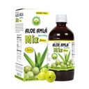 Aloe Aloe Amla Mix Juice Blend of Aloe Vera & Amla Fruice 第一出版社 Virgin Juice 植物类每日饮料 Vegan & Non-GMO & 32.46 Fl Ozz(960ml)